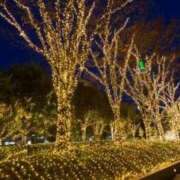 ヒメ日記 2025/09/29 23:14 投稿 とうこ 熟女デリヘル倶楽部