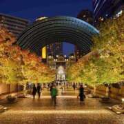 ヒメ日記 2025/10/03 23:55 投稿 とうこ 熟女デリヘル倶楽部