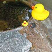 ヒメ日記 2025/10/07 23:56 投稿 とうこ 熟女デリヘル倶楽部