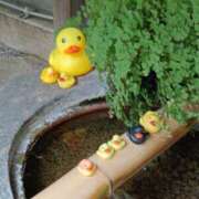 ヒメ日記 2025/10/08 23:33 投稿 とうこ 熟女デリヘル倶楽部