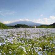 ヒメ日記 2025/10/14 23:58 投稿 とうこ 熟女デリヘル倶楽部