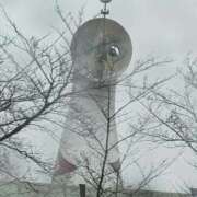 ヒメ日記 2025/10/15 23:58 投稿 とうこ 熟女デリヘル倶楽部