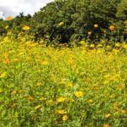 ヒメ日記 2025/10/16 23:49 投稿 とうこ 熟女デリヘル倶楽部