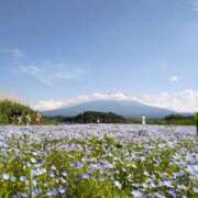 ヒメ日記 2025/10/21 23:33 投稿 とうこ 熟女デリヘル倶楽部