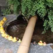 ヒメ日記 2025/10/30 23:56 投稿 とうこ 熟女デリヘル倶楽部