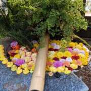 ヒメ日記 2025/11/07 23:58 投稿 とうこ 熟女デリヘル倶楽部