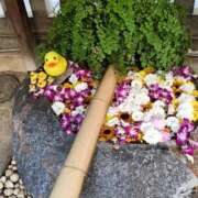 ヒメ日記 2025/11/08 23:45 投稿 とうこ 熟女デリヘル倶楽部