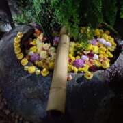 ヒメ日記 2025/11/09 23:59 投稿 とうこ 熟女デリヘル倶楽部