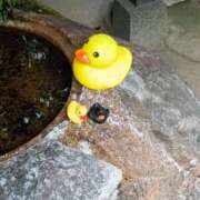 ヒメ日記 2025/11/15 18:44 投稿 とうこ 熟女デリヘル倶楽部