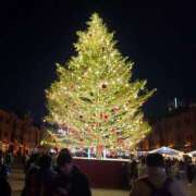 ヒメ日記 2025/11/24 23:42 投稿 とうこ 熟女デリヘル倶楽部