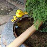 ヒメ日記 2025/11/28 23:13 投稿 とうこ 熟女デリヘル倶楽部