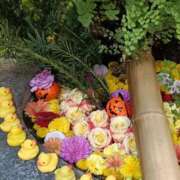 ヒメ日記 2025/11/29 22:00 投稿 とうこ 熟女デリヘル倶楽部