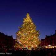 ヒメ日記 2025/12/01 23:29 投稿 とうこ 熟女デリヘル倶楽部