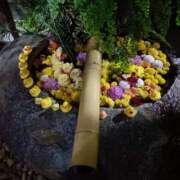 とうこ お礼です🎄 熟女デリヘル倶楽部