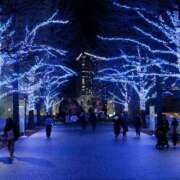 ヒメ日記 2025/12/16 23:55 投稿 とうこ 熟女デリヘル倶楽部