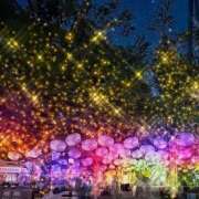 ヒメ日記 2025/12/24 23:59 投稿 とうこ 熟女デリヘル倶楽部