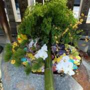 ヒメ日記 2026/01/09 23:57 投稿 とうこ 熟女デリヘル倶楽部