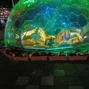 ヒメ日記 2026/01/14 23:59 投稿 とうこ 熟女デリヘル倶楽部