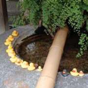 ヒメ日記 2026/01/22 23:36 投稿 とうこ 熟女デリヘル倶楽部