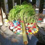 ヒメ日記 2026/02/05 23:58 投稿 とうこ 熟女デリヘル倶楽部