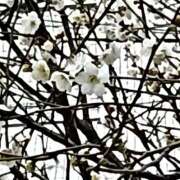 ヒメ日記 2026/02/10 23:57 投稿 とうこ 熟女デリヘル倶楽部