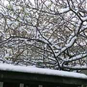 ヒメ日記 2026/02/21 23:59 投稿 とうこ 熟女デリヘル倶楽部