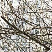 ヒメ日記 2026/02/24 23:59 投稿 とうこ 熟女デリヘル倶楽部