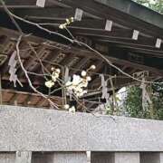 とうこ 胃腸炎😷 熟女デリヘル倶楽部