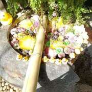 ヒメ日記 2026/03/09 23:45 投稿 とうこ 熟女デリヘル倶楽部