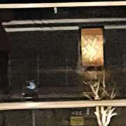 ヒメ日記 2026/03/11 23:55 投稿 とうこ 熟女デリヘル倶楽部