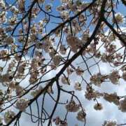 ヒメ日記 2026/03/19 23:46 投稿 とうこ 熟女デリヘル倶楽部