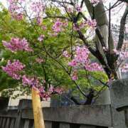 ヒメ日記 2026/03/22 23:40 投稿 とうこ 熟女デリヘル倶楽部