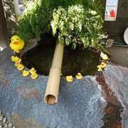 ヒメ日記 2026/03/24 23:53 投稿 とうこ 熟女デリヘル倶楽部