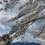 ヒメ日記 2026/03/25 23:59 投稿 とうこ 熟女デリヘル倶楽部