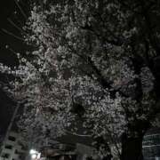 ヒメ日記 2026/03/26 23:58 投稿 とうこ 熟女デリヘル倶楽部