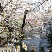 ヒメ日記 2026/03/28 23:52 投稿 とうこ 熟女デリヘル倶楽部