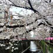 ヒメ日記 2026/03/29 23:36 投稿 とうこ 熟女デリヘル倶楽部