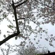 とうこ [お題]from:宴会部長さん 熟女デリヘル倶楽部