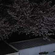 とうこ 雨、風、桜🌸 熟女デリヘル倶楽部