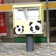 ヒメ日記 2026/04/06 23:26 投稿 とうこ 熟女デリヘル倶楽部