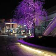 ヒメ日記 2026/04/09 23:49 投稿 とうこ 熟女デリヘル倶楽部