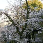 とうこ [お題]from:ピンキーさん 熟女デリヘル倶楽部