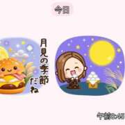 ヒメ日記 2026/09/25 19:09 投稿 とうこ 熟女デリヘル倶楽部