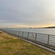 ヒメ日記 2024/12/28 00:27 投稿 そら マリン池袋北口駅前店