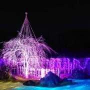 ヒメ日記 2025/01/13 21:56 投稿 るり 新潟市鳥屋野潟ちゃんこ