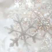 ヒメ日記 2024/12/12 07:06 投稿 莉音(りお) 新潟市鳥屋野潟ちゃんこ