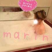 ヒメ日記 2024/12/24 10:19 投稿 まりん 新潟市鳥屋野潟ちゃんこ