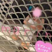 ヒメ日記 2024/12/29 14:36 投稿 まりん 新潟市鳥屋野潟ちゃんこ