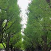 ヒメ日記 2025/04/21 19:26 投稿 まりん 新潟市鳥屋野潟ちゃんこ