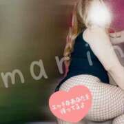 ヒメ日記 2025/06/27 14:46 投稿 まりん 新潟市鳥屋野潟ちゃんこ